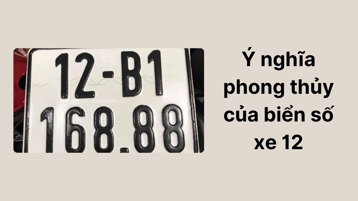 Biển Số Xe 12 Ở Đâu? Giải Mã Ký Hiệu Vùng Và Những Điều Cần Biết 1 biển số xe 12 ở đâu - Hình 4