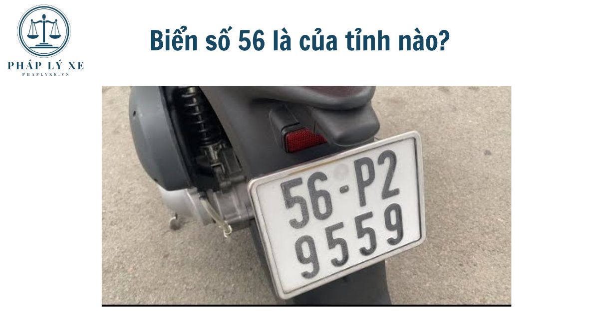 Biển số xe 56 ở đâu? Giải mã bí mật đằng sau dãy số và những điều bạn cần biết 2 biển số xe 56 ở đâu - Hình 4