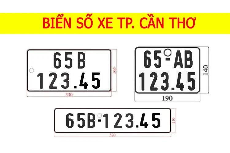 Biển Số Xe 65 Ở Đâu? Giải Mã Ký Hiệu Vùng Và Cập Nhật Mới Nhất 4 biển số xe 65 ở đâu - Hình 2