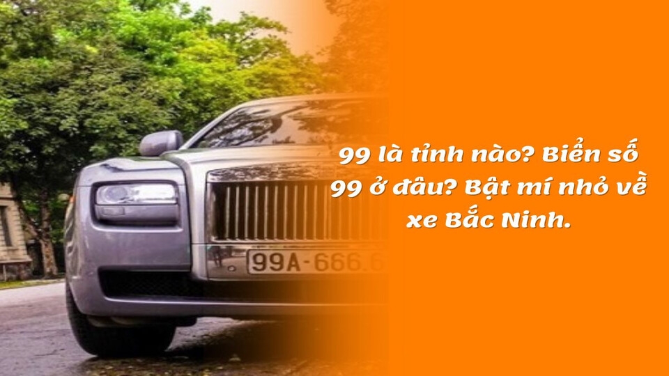 Biển Số Xe 99 Ở Đâu? Giải Mã Ý Nghĩa Và Những Thông Tin Cần Biết 4 biển số xe 99 ở đâu - Hình 2
