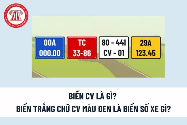 Biển số xe CV là gì? Giải mã biển số công vụ nền xanh chữ trắng và mọi điều cần biết 4 biển số xe CV là gì - Hình 1