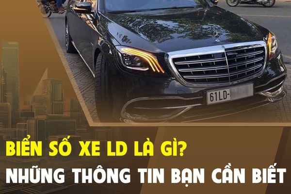 Biển số xe LD là gì? Giải mã ký hiệu và quy định mới nhất 2024 1 biển số xe LD là gì - Hình 5
