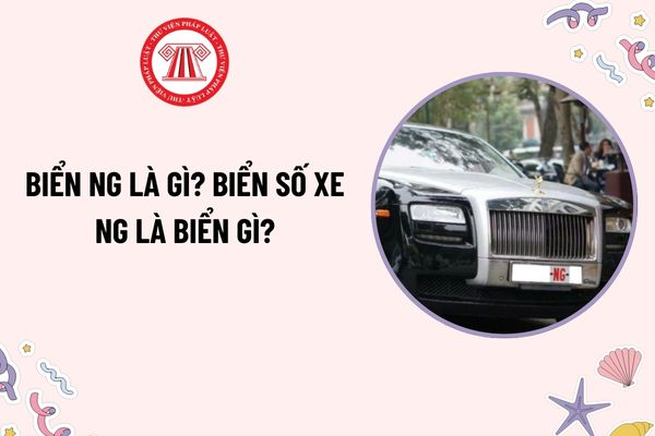 Biển số xe NG là gì? Giải mã ký hiệu đặc biệt trên biển số và những điều cần biết 2 biển số xe NG là gì - Hình 4