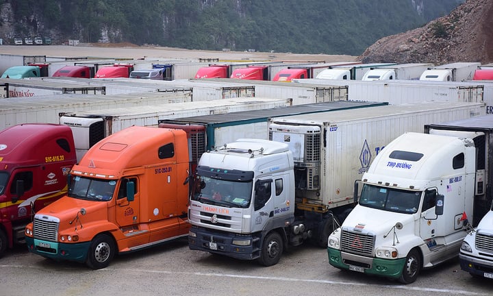 Biển số xe đầu kéo: Toàn tập từ A-Z về quy định, thủ tục và những điều tài xế cần biết 4 biển số xe đầu kéo - Hình 2