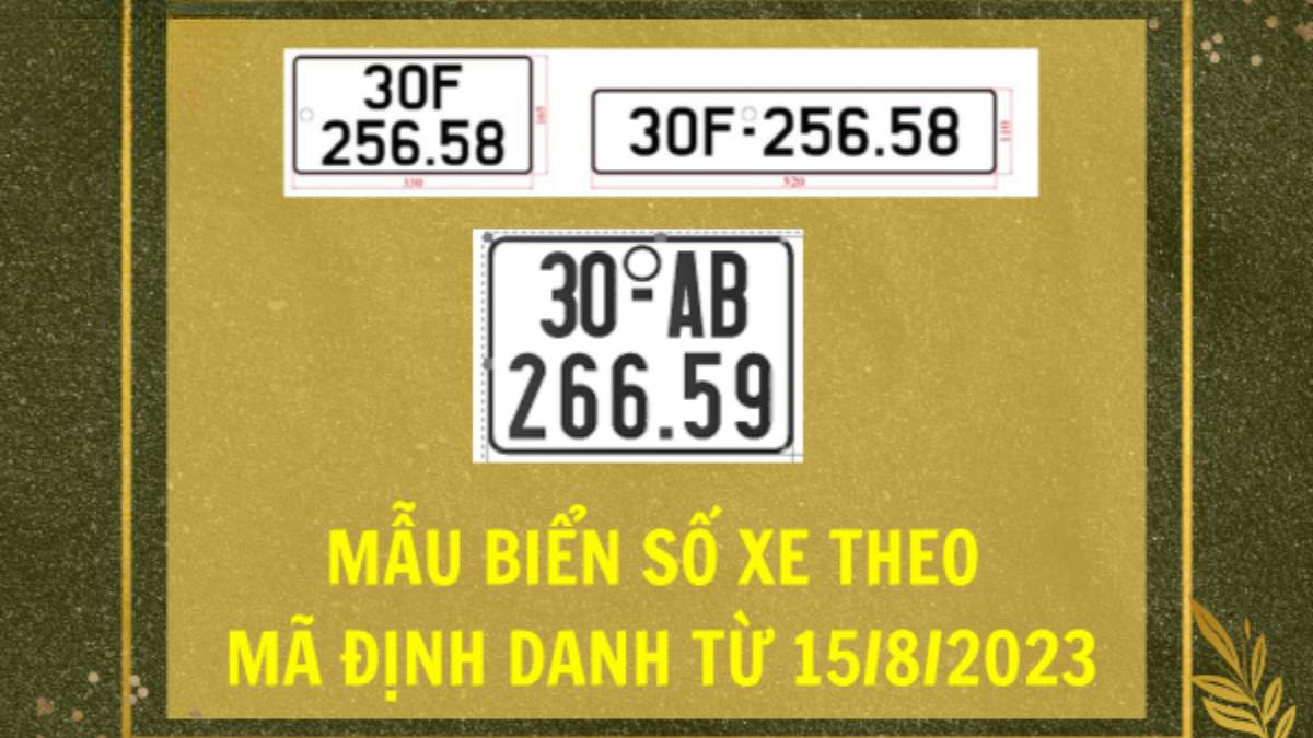 Biển Số Xe Định Danh: Toàn Bộ Quy Định Mới Nhất 2025 & Giải Đáp Chi Tiết 2 biển số xe định danh - Hình 4