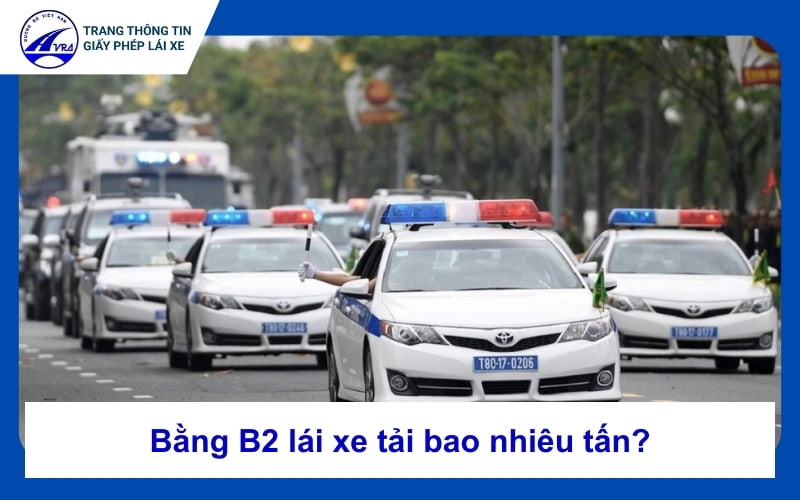 Biển số xe màu xanh là gì? Giải mã ý nghĩa, phân loại và quy định mới nhất 1 biển số xe màu xanh là gì - Hình 5