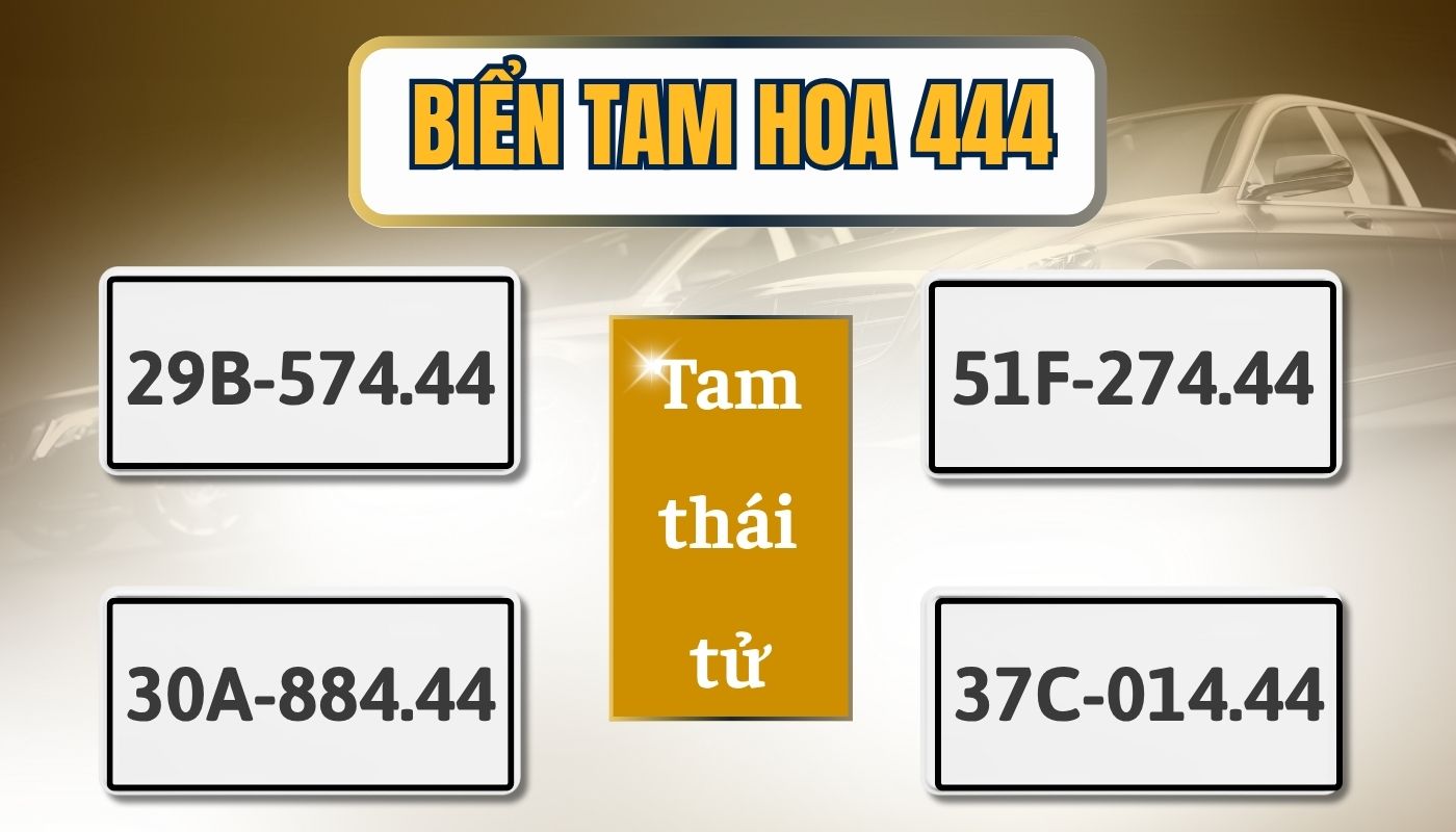 Biển Số Xe Tam Hoa Là Gì? Phân Loại, Ý Nghĩa Phong Thủy Và Cách Sở Hữu Đúng Chuẩn 4 biển số xe tam hoa - Hình 2
