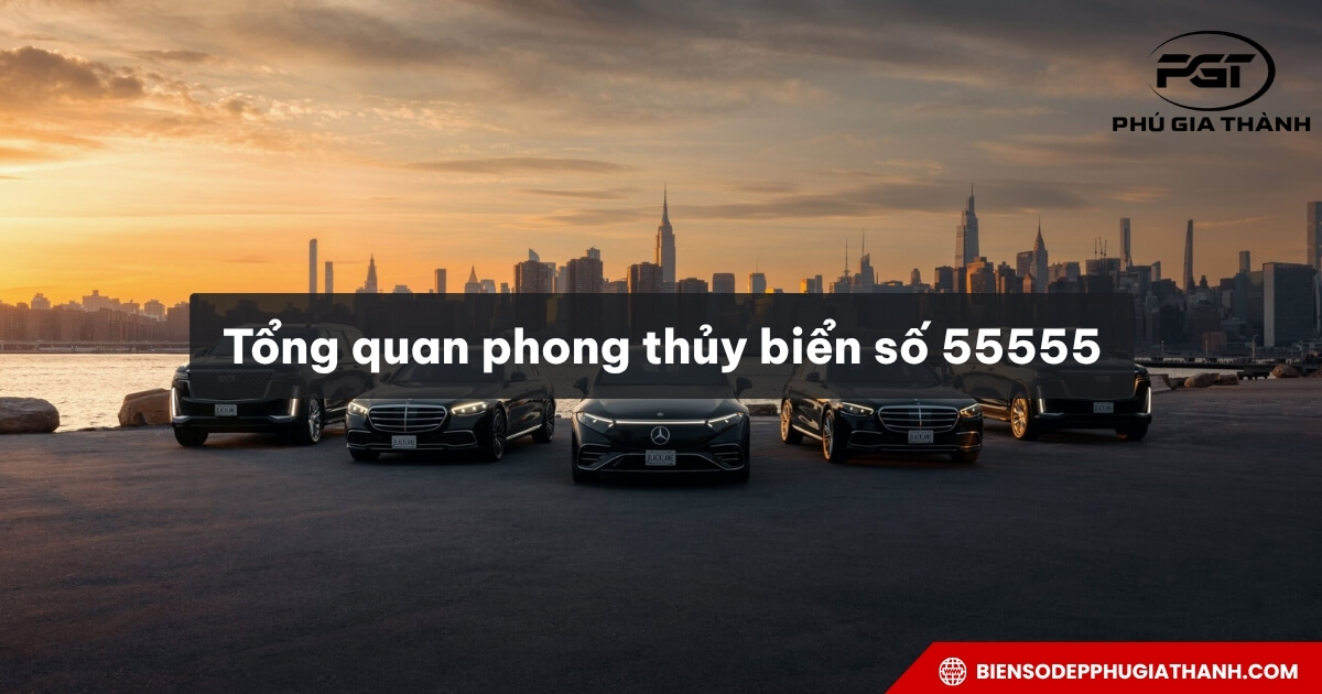 Ý Nghĩa Biển Số Ngũ Quý: Giải Mã Phong Thủy & Giá Trị Thực Tế 1 ý nghĩa biển số ngũ quý - Hình 4