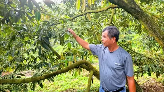 Hướng Dẫn Tham Gia Đấu Giá Xe Ô Tô Agribank Phú Nhuận A-z Hướng Dẫn Tham Gia Đấu Giá Xe Ô Tô Agribank Phú Nhuận A-z