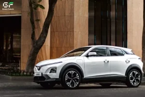 Đối Tượng Cho Thuê Xe Ô Tô