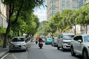 Hiểu Đúng Lề Đường, Vỉa Hè Để Tránh Vi Phạm Lỗi Dừng, Đỗ Xe