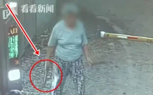 Xe Ô Tô Bị Đập Nát Chỉ Sau 1 Đêm, Kiểm Tra Lại Camera Giám Sát, Người Đàn Ông Phẫn Nộ Trước Cảnh Tượng Được Ghi Lại - Ảnh 1.