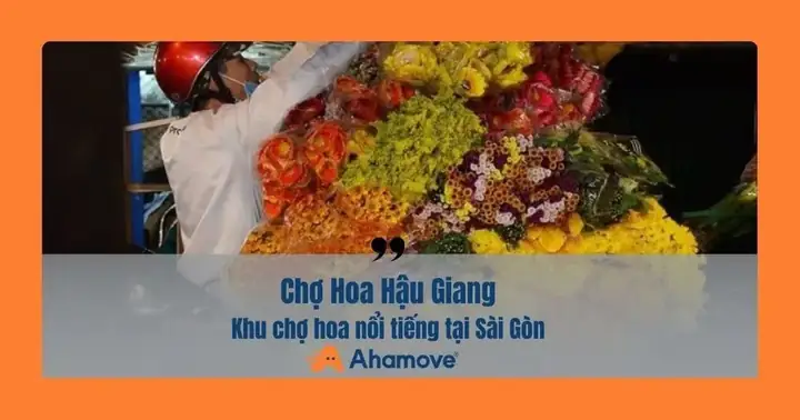 Chợ Hoa Hậu Giang Ở Đâu? Kinh Nghiệm Mua Hoa Hoa Tại Chợ Hoa Hậu Giang