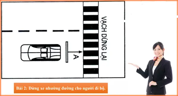 Bài Thi Số 2: Dừng Xe Nhường Đường Cho Người Đi Bộ