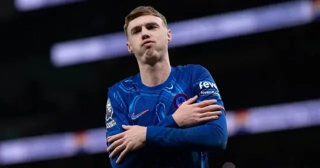 Bản Dịch Chứng Nhận Đăng Ký Xe Ô Tô Cần Khi Nào, Ở Đâu?