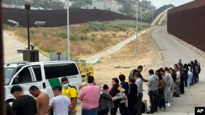 Dùng Bằng Giả Xe Ô Tô Gây Tai Nạn Giao Thông Bị Xử Lý Thế Nào?