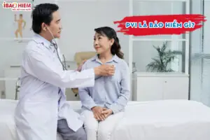 Pvi La Bao Hiem Gi