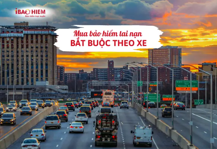 Mua Bảo Hiểm Tai Nạn Bắt Buộc Theo Xe
