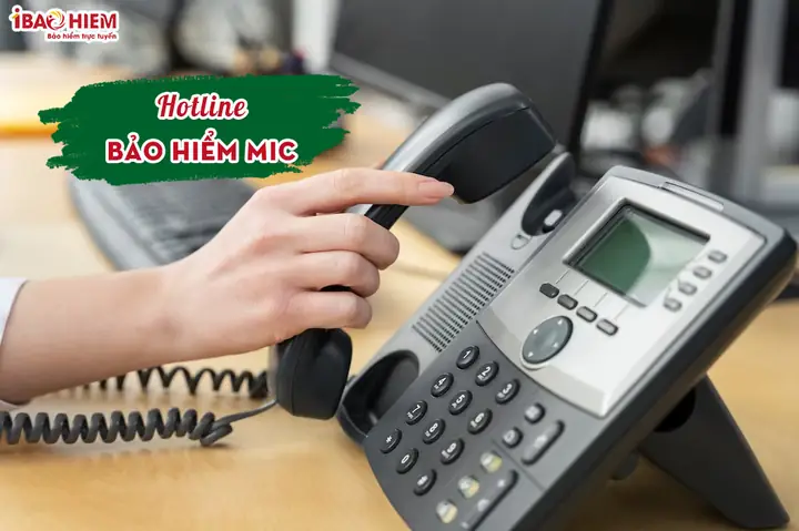 Hotline Bao Hiem Mic