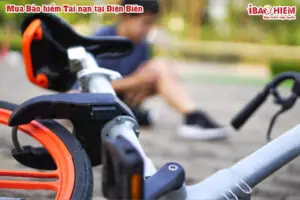 Mua Bao Hiem Tai Nan Tai Dien Bien