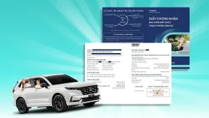 Bảo Hiểm Trách Nhiệm Dân Sự