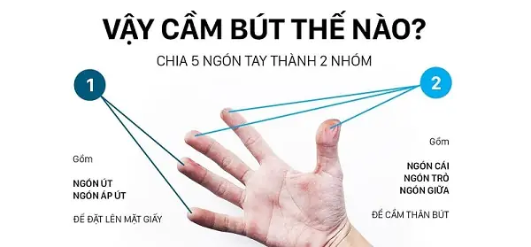 Tư Thế Ngồi Đúng