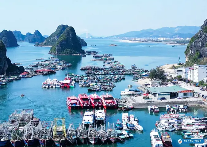 Cảng Cái Rồng Ở Đâu?