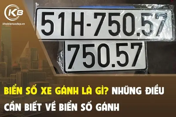 Biển Số Xe Gánh Là Gì? Giải Nghĩa Bí Ẩn Đằng Sau Những Biển Số Xe Gánh Hiện Nay