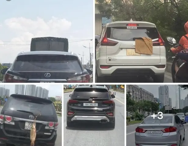 Nhận Biết Và Hậu Quả Của Biển Kiểm Soát Xe Ô Tô Giả