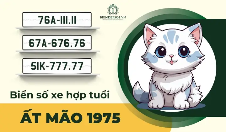 Chọn Biển Số Xe Hợp Tuổi Ất Mão 1975 Vượng Sinh Khí, Khỏe Mạnh