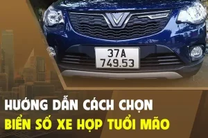 Biển Số Xe Hợp Tuổi Mão – Lựa Chọn “vàng” Cho Tài Lộc Hanh Thông