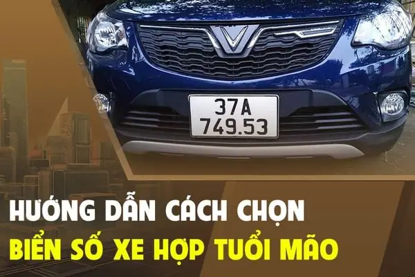 Biển Số Xe Hợp Tuổi Mão – Lựa Chọn “vàng” Cho Tài Lộc Hanh Thông