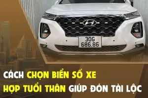Bật Mí Cách Chọn Biển Số Xe Hợp Tuổi Thân Mới Nhất 2025