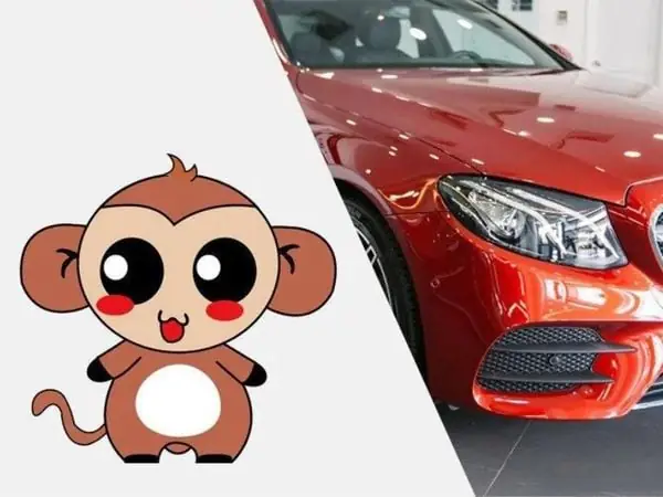 Tại Sao Người Tuổi Thân Nên Chọn Biển Số Xe Hợp Tuổi?