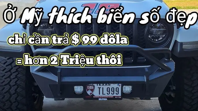 Biển Số Xe 29238 Có Gì Đặc Biệt? Thông Tin Chi Tiết