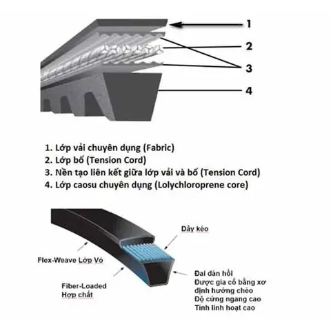 Cấu Tạo Và Chức Năng Của Dây Curoa Điều Hòa Ô Tô