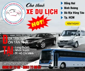 Cãng Ty Tnhh Nguyễn Anh Tuấn