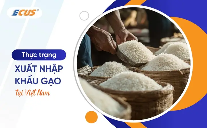 Các Loại Xe Ô Tô Nhập Khẩu Từ Hàn Quốc