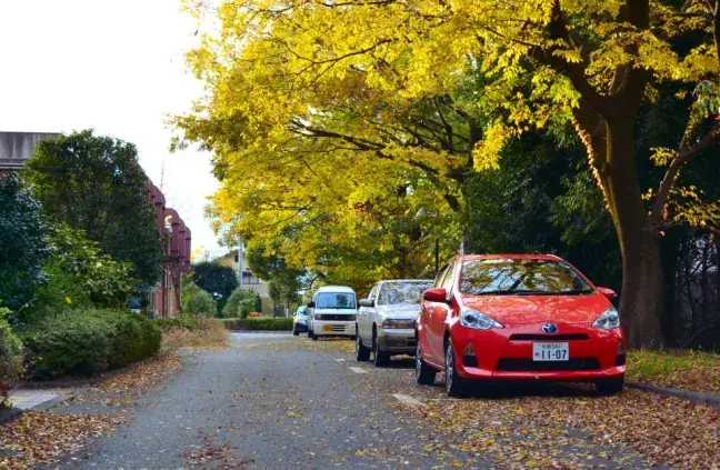 Hướng Dẫn Cách Chuyển Bằng Lái Xe Ô Tô Ở Nhật Chi Tiết A-z