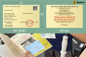 1. Cà Vẹt Xe Là Gì?