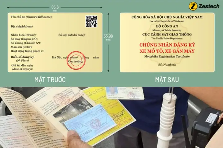 1. Cà Vẹt Xe Là Gì?