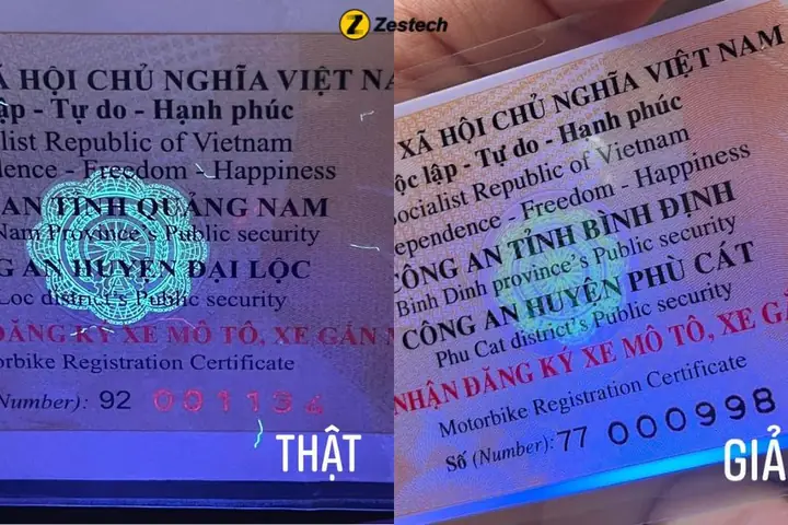 2. Cách Phân Biệt Cà Vẹt Xe Thật Giả Chi Tiết