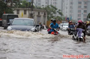 Ô Tô Bị Ngập Nước Cần Làm Gì? 12 Cách Phát Hiện Xe Ngập Nước