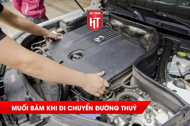 Muối Bám Khi Vận Chuyển Xe Bằng Đường Thủy