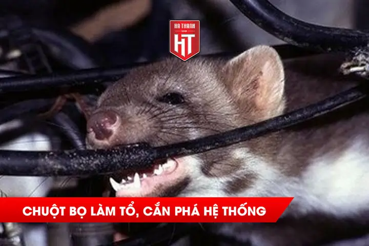 Loại Bỏ Các Sự Cố Về Máy