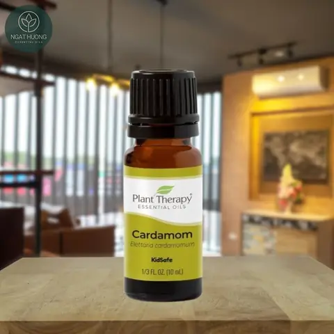 Công Dụng Đối Với Đời Sống Và Sức Khỏe