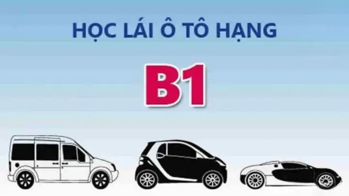 3.1. Chi Phí Học Lái Xe Bằng B1