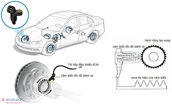 Cảm Biến Tốc Độ Xe Ô Tô Cũ: Dấu Hiệu Hỏng Và Lưu Ý