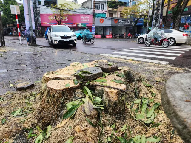 Không Có Chuyện Chặt Cây Làm Trạm Sạc Xe Điện Trước Cổng Trường Thpt Trần Quốc Tuấn - Ảnh 1.