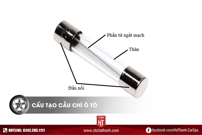 Cấu Tạo